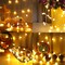 Globe String Lights 32FT 100 LED Fairy Lights USB Model 8 Modes with Remote Control Device Waterproof Outdoor Indoor Warm White String Lights for Bedroom,Garden,Party,Wedding Decorations